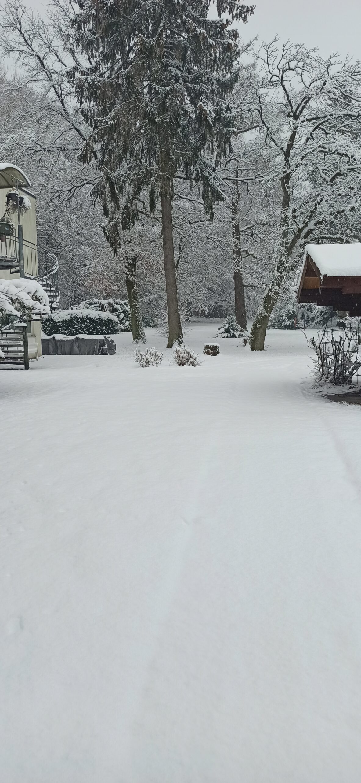 ATV Gelände im Schnee